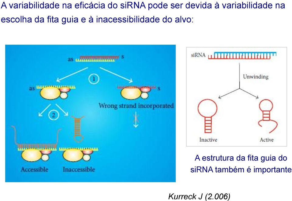 à inacessibilidade do alvo: A estrutura da fita