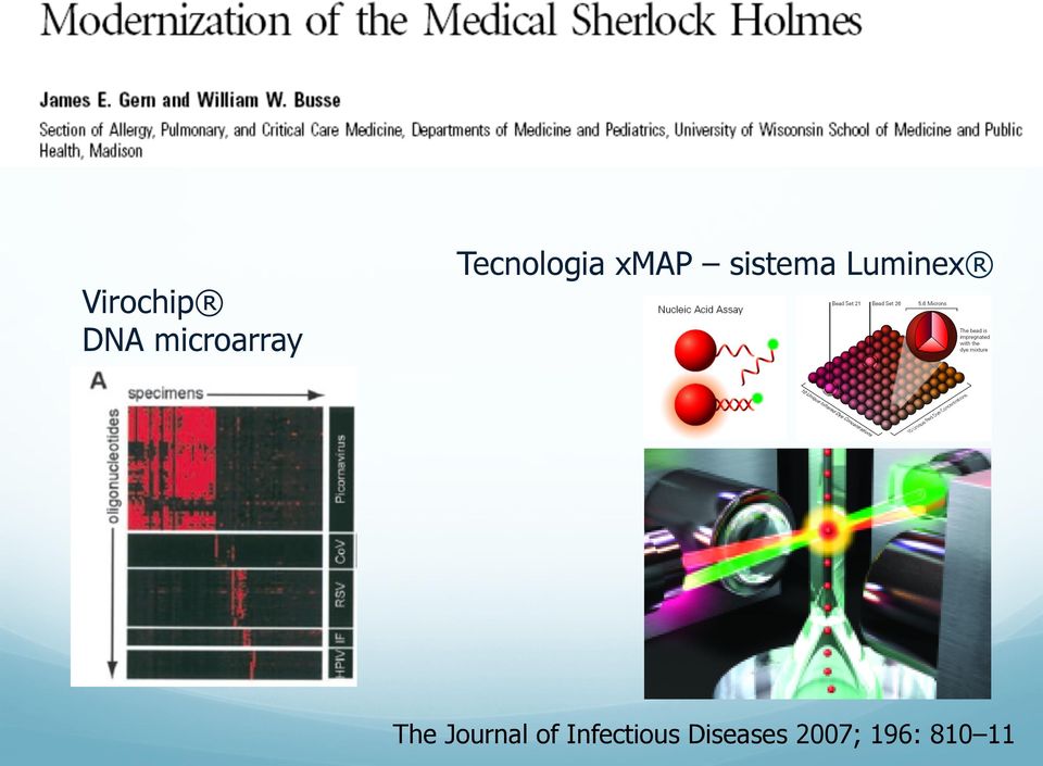 Luminex The Journal of