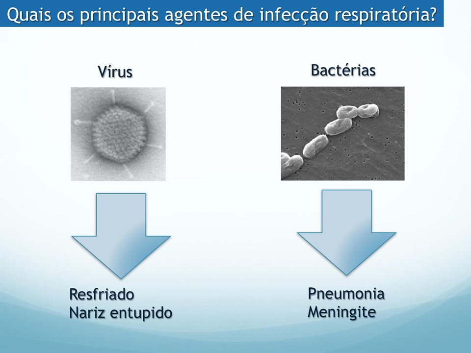Vírus Bactérias Resfriado