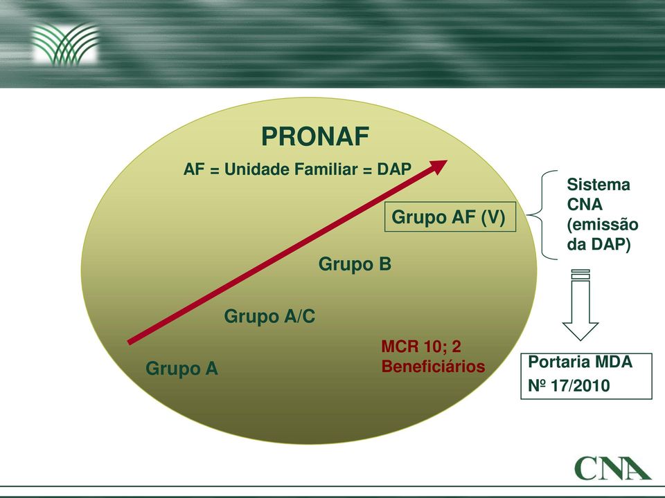 (emissão da DAP) Grupo A/C Grupo A