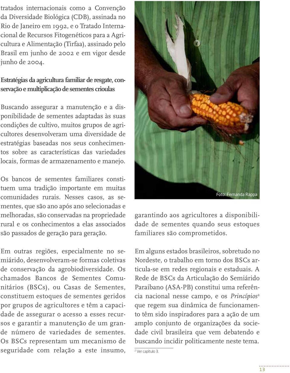 Estratégias da agricultura familiar de resgate, conservação e multiplicação de sementes crioulas Buscando assegurar a manutenção e a disponibilidade de sementes adaptadas às suas condições de