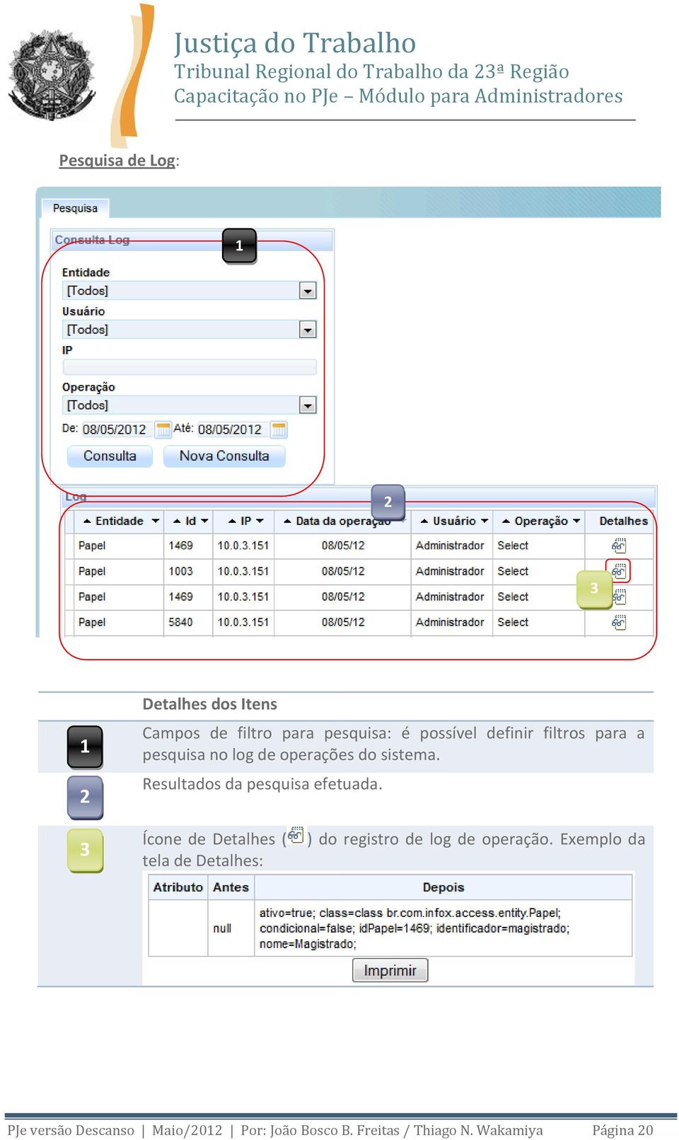 Resultados da pesquisa efetuada.