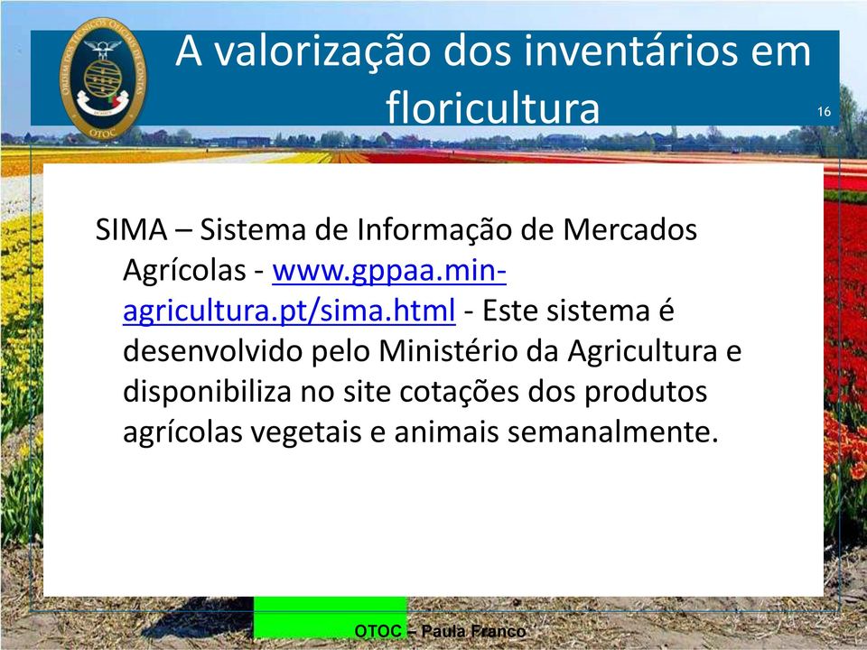 html - Este sistema é desenvolvido pelo Ministério da