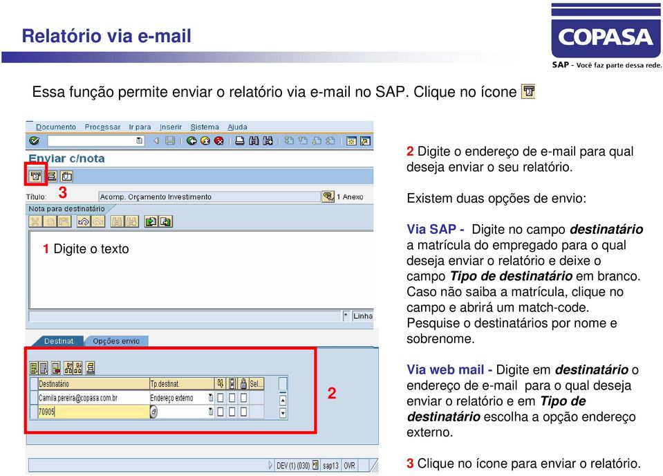 Existem duas opções de envio: Via SAP - Digite no campo destinatário a matrícula do empregado para o qual deseja enviar o relatório e deixe o campo Tipo de