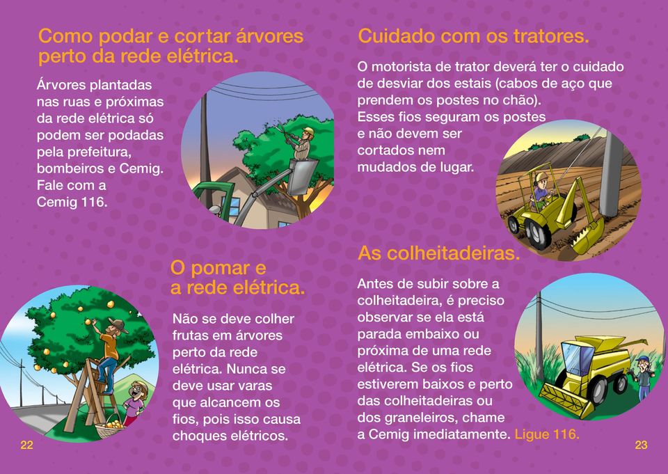 Esses fios seguram os postes e não devem ser cortados nem mudados de lugar. 22 O pomar e a rede elétrica. Não se deve colher frutas em árvores perto da rede elétrica.