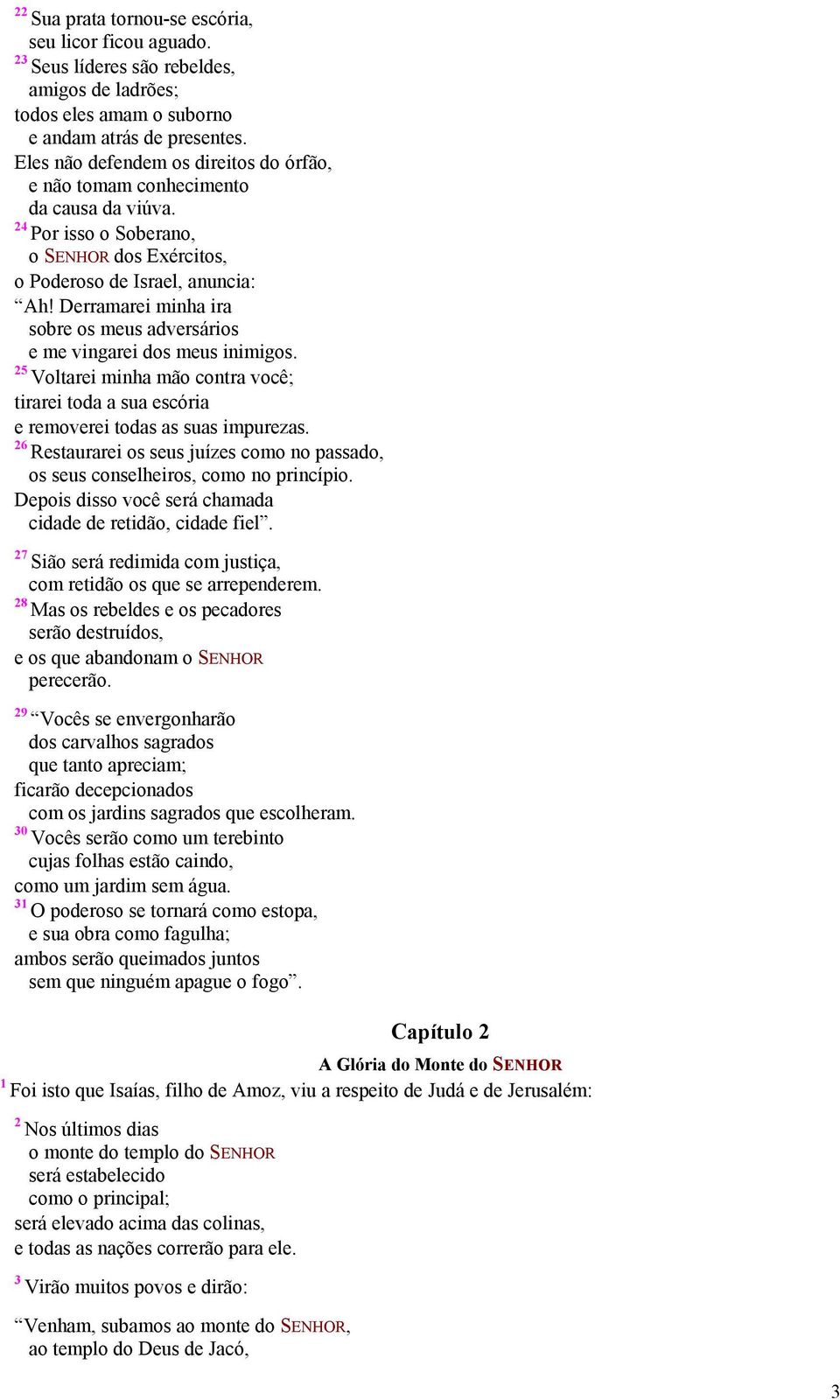 Derramarei minha ira sobre os meus adversários e me vingarei dos meus inimigos. 25 Voltarei minha mão contra você; tirarei toda a sua escória e removerei todas as suas impurezas.