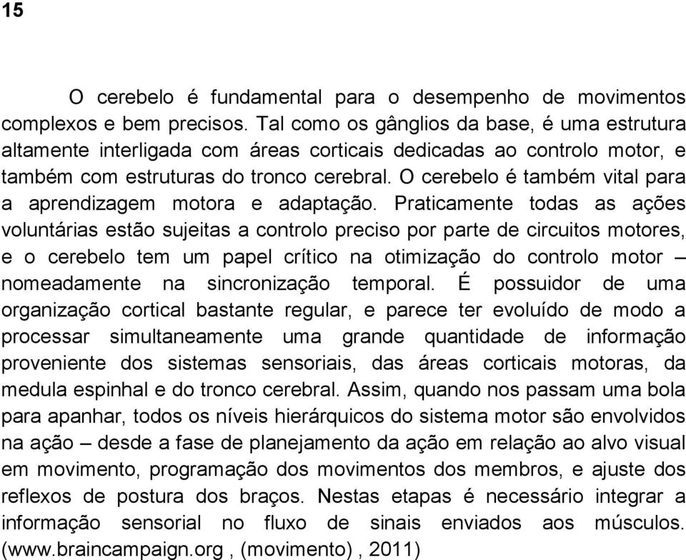 O cerebelo é também vital para a aprendizagem motora e adaptação.