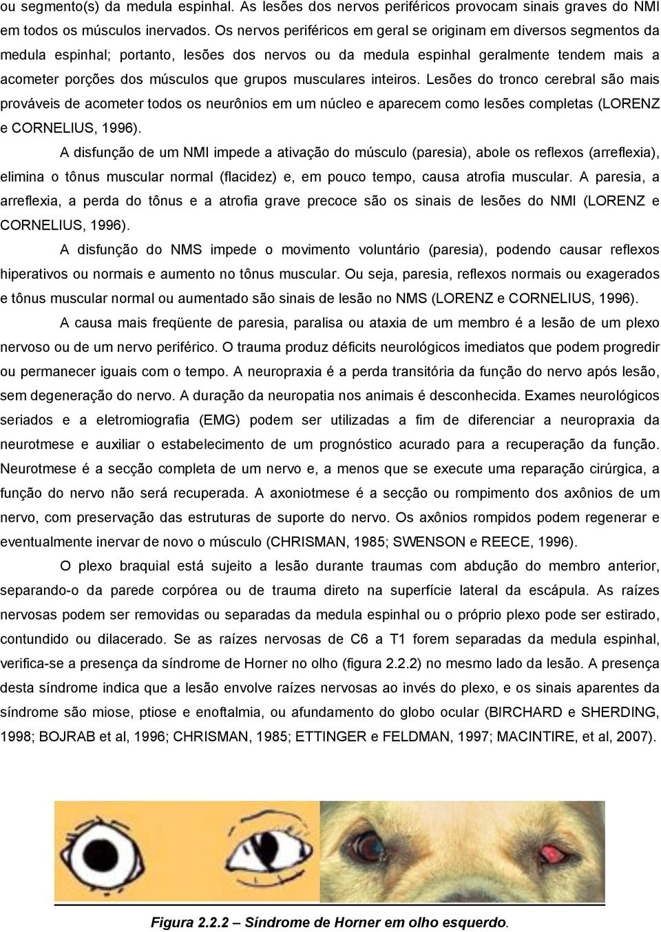 grupos musculares inteiros. Lesões do tronco cerebral são mais prováveis de acometer todos os neurônios em um núcleo e aparecem como lesões completas (LORENZ e CORNELIUS, 1996).