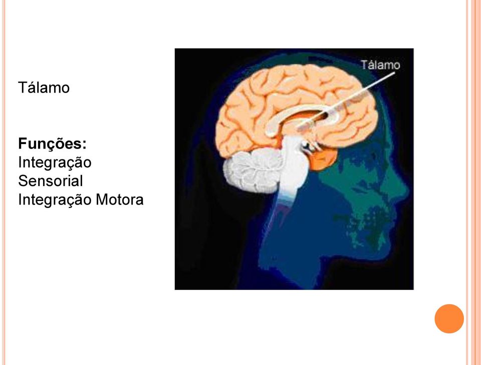 Integração