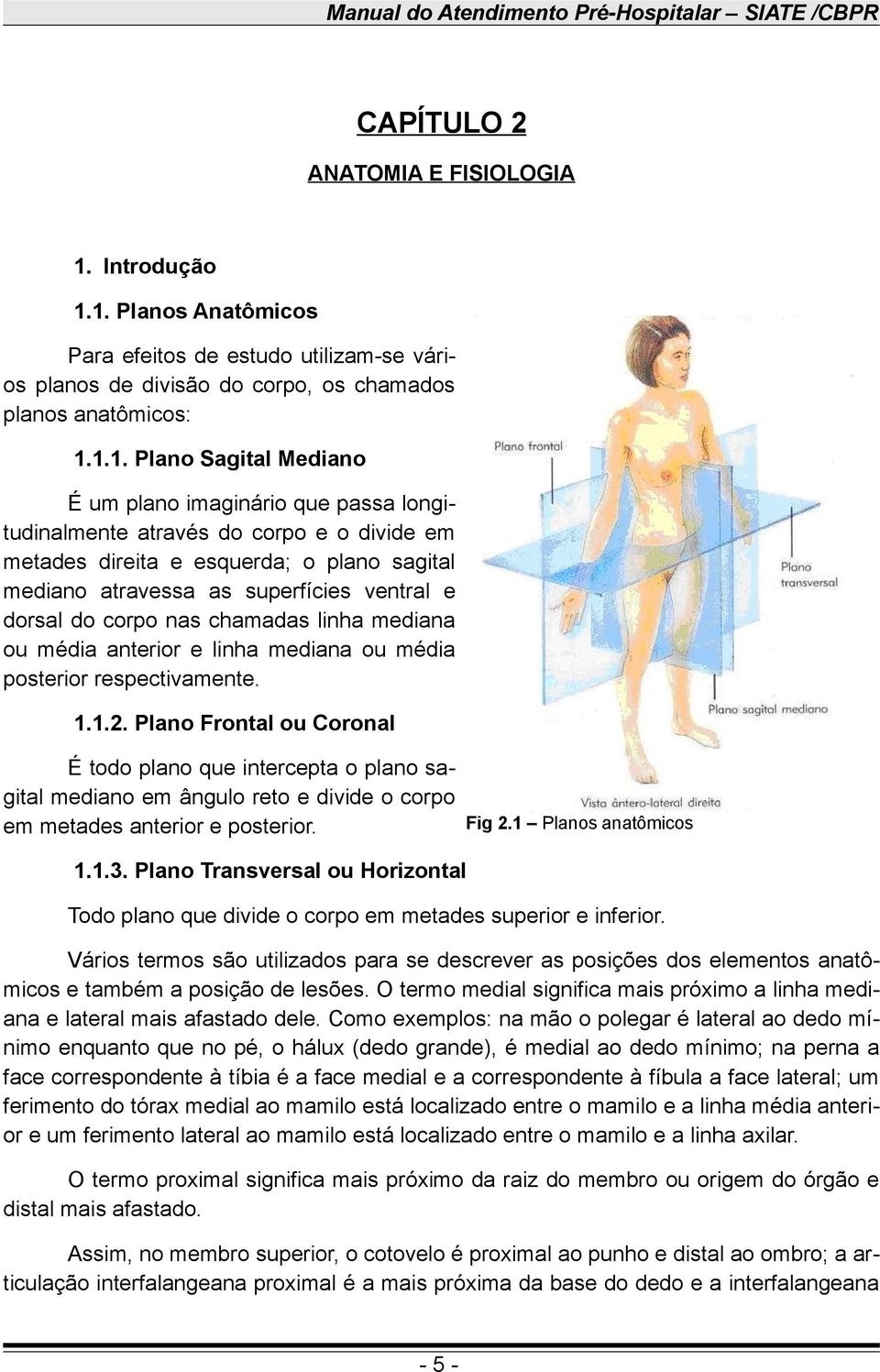 1. Planos Anatômicos Para efeitos de estudo utilizam-se vários planos de divisão do corpo, os chamados planos anatômicos: 1.1.1. Plano Sagital Mediano É um plano imaginário que passa