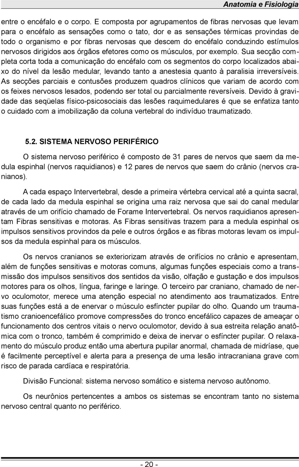 encéfalo conduzindo estímulos nervosos dirigidos aos órgãos efetores como os músculos, por exemplo.