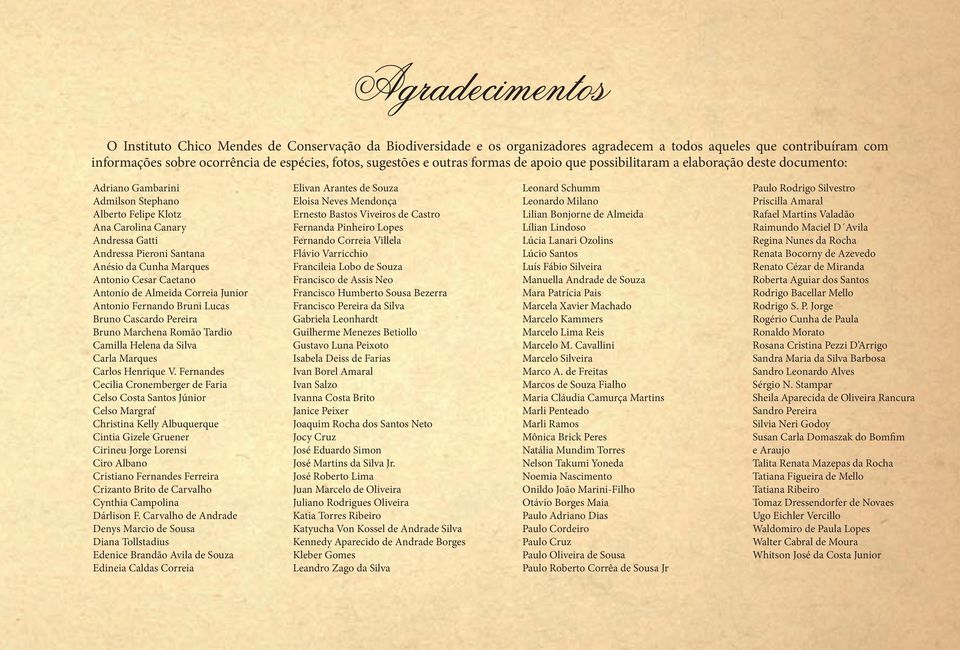 Cunha Marques Antonio Cesar Caetano Antonio de Almeida Correia Junior Antonio Fernando Bruni Lucas Bruno Cascardo Pereira Bruno Marchena Romão Tardio Camilla Helena da Silva Carla Marques Carlos