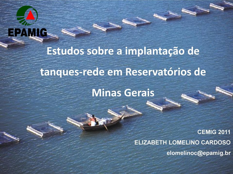 Minas Gerais CEMIG 2011 ELIZABETH