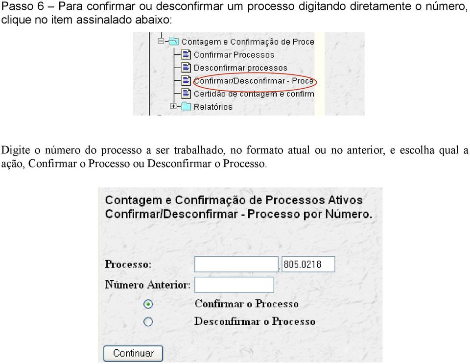 número do processo a ser trabalhado, no formato atual ou no