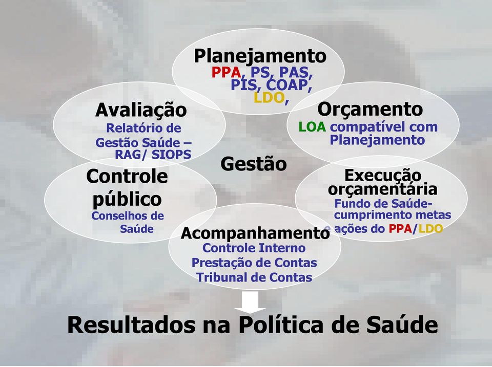 Planejamento Execução orçamentária Fundo de Saúdecumprimento metas e ações do PPA/LDO