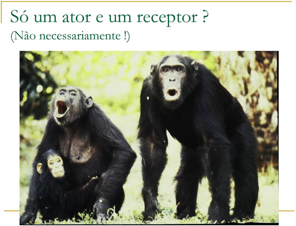 receptor?
