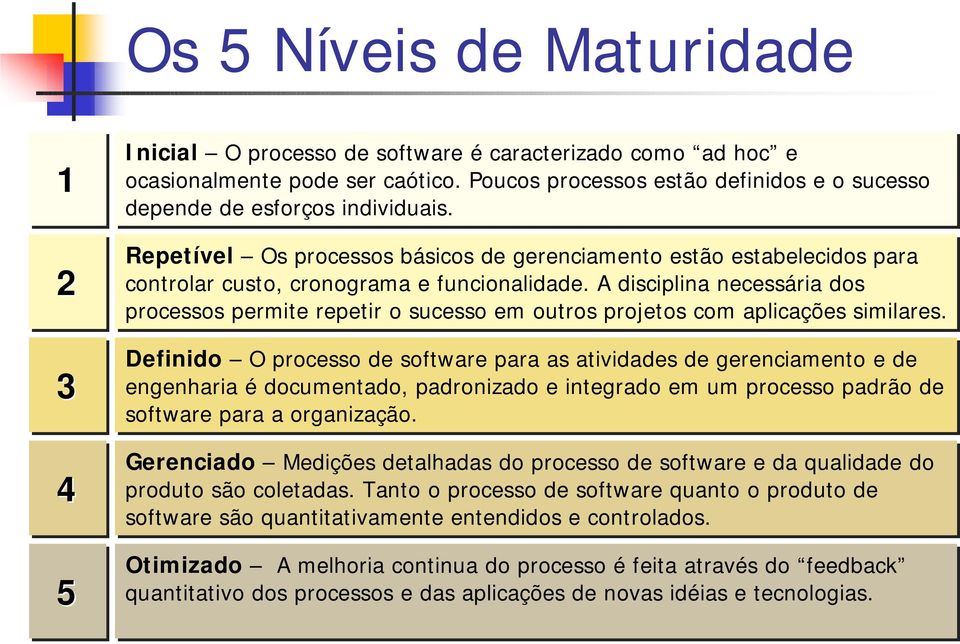 A disciplia ecessária dos processos permite repetir o sucesso em outros projetos com aplicações similares.