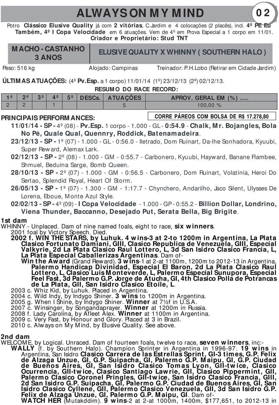 Esp. a 1 corpo) 11/01/14 (1º) 23/12/13 (2º) 02/12/13. 2 2 1 5 100,00 % CORRE PÁREOS COM BOLSA DE R$ 17.278,80 11/01/14 - SP - 4º (08) - Pv.Esp. 1 corpo - 1.000 - GL - 0:54.9 - Chalk, Mr.