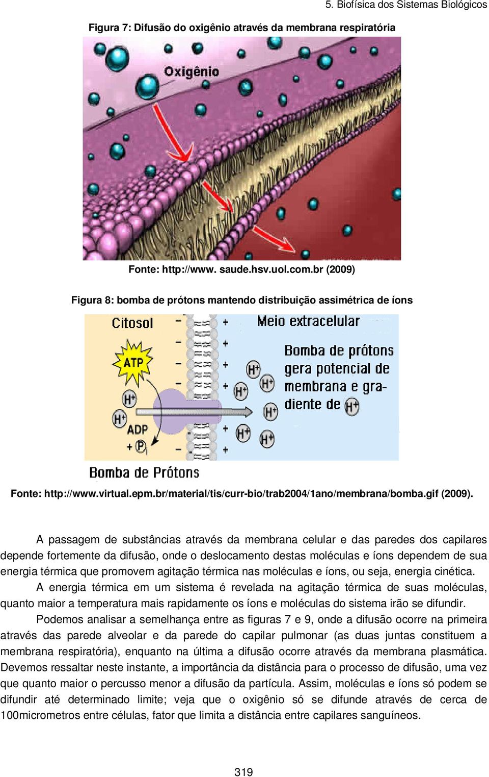 A passagem de substâncias através da membrana celular e das paredes dos capilares depende fortemente da difusão, onde o deslocamento destas moléculas e íons dependem de sua energia térmica que