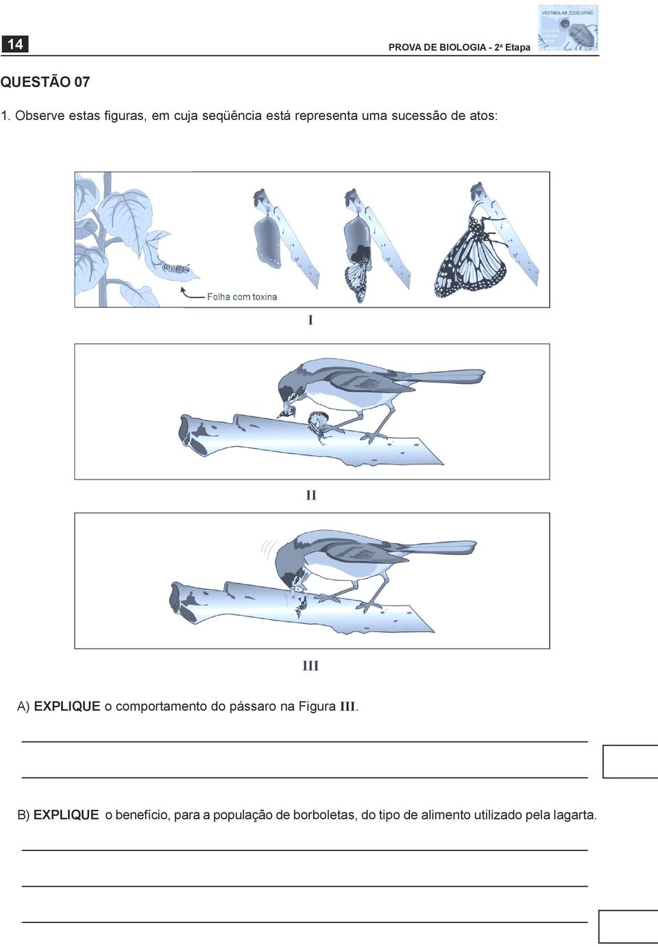 de atos: A) EXPLIQUE o comportamento do pássaro na Figura III.