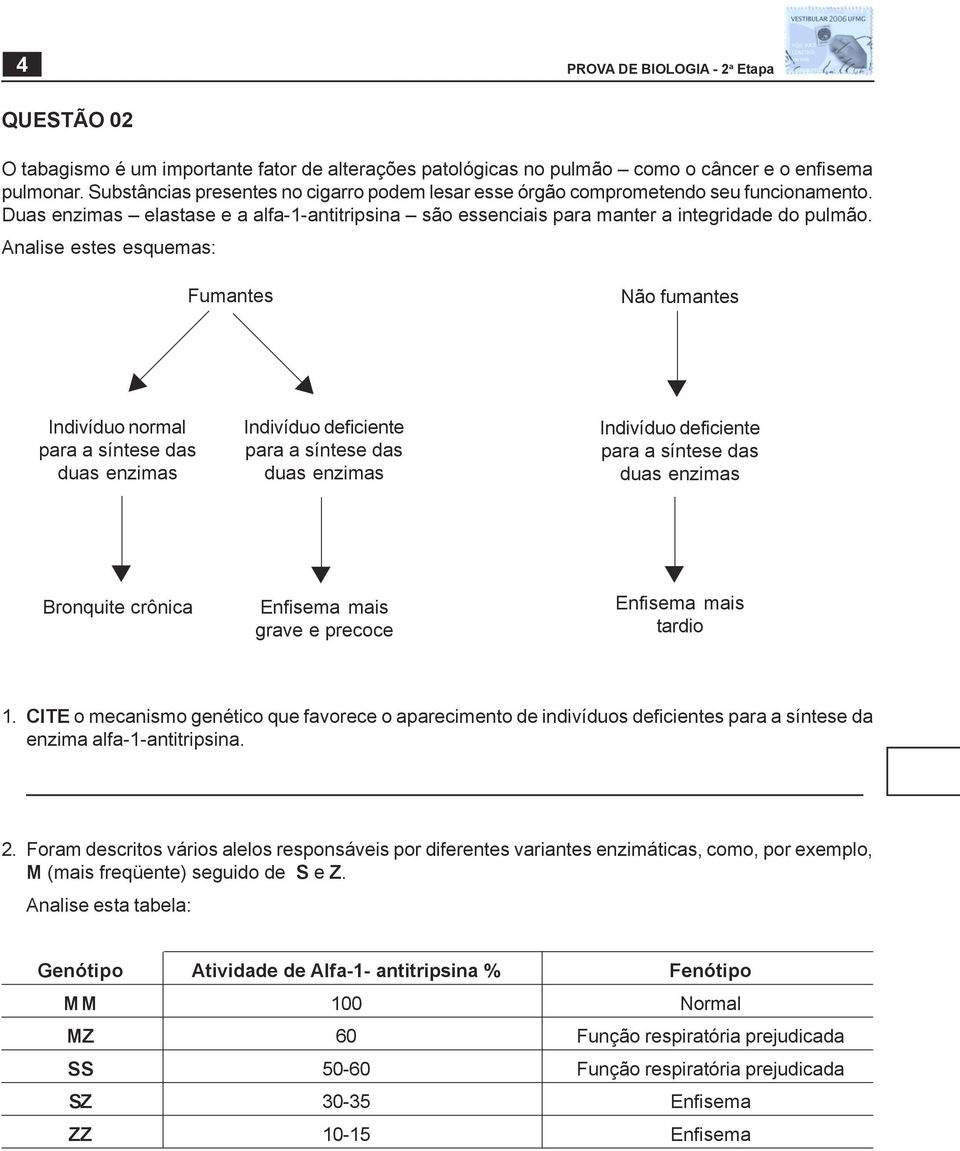 Analise estes esquemas: Fumantes Não fumantes Indivíduo normal para a síntese das duas enzimas Indivíduo deficiente para a síntese das duas enzimas Indivíduo deficiente para a síntese das duas