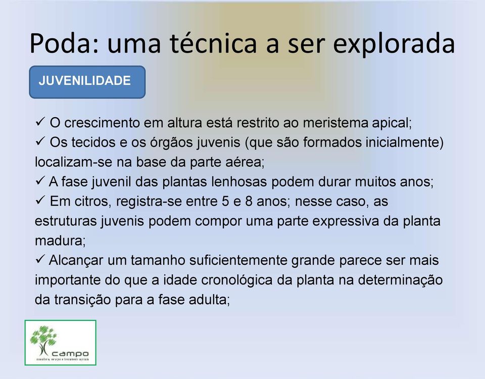 registra-se entre 5 e 8 anos; nesse caso, as estruturas juvenis podem compor uma parte expressiva da planta madura; Alcançar um