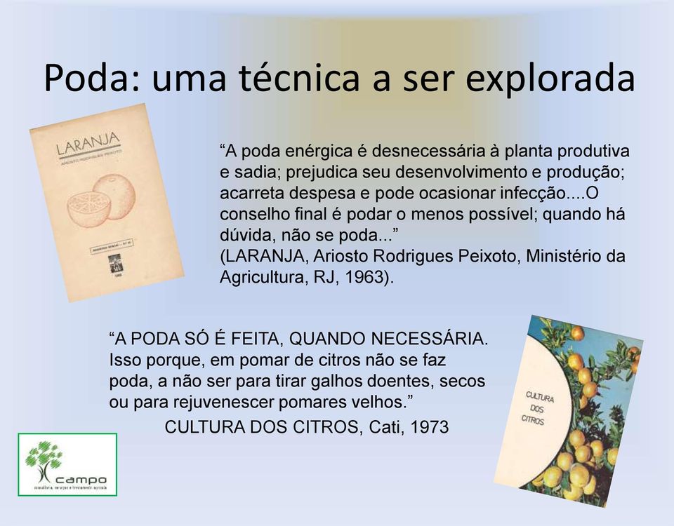 .. (LARANJA, Ariosto Rodrigues Peixoto, Ministério da Agricultura, RJ, 1963). A PODA SÓ É FEITA, QUANDO NECESSÁRIA.