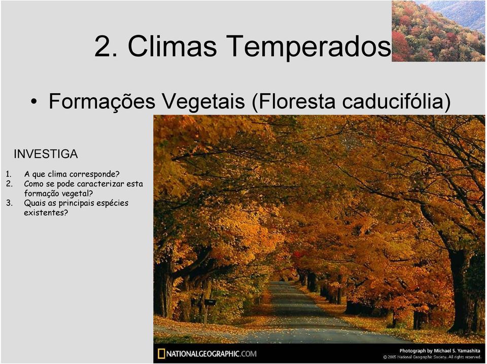 A que clima corresponde? 2.