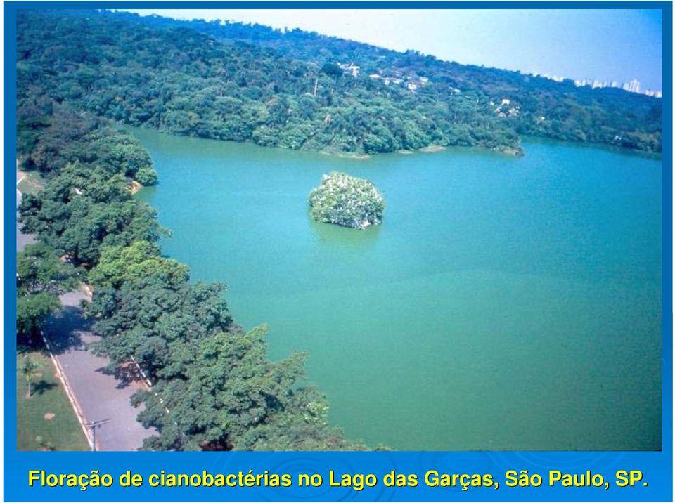 no Lago das