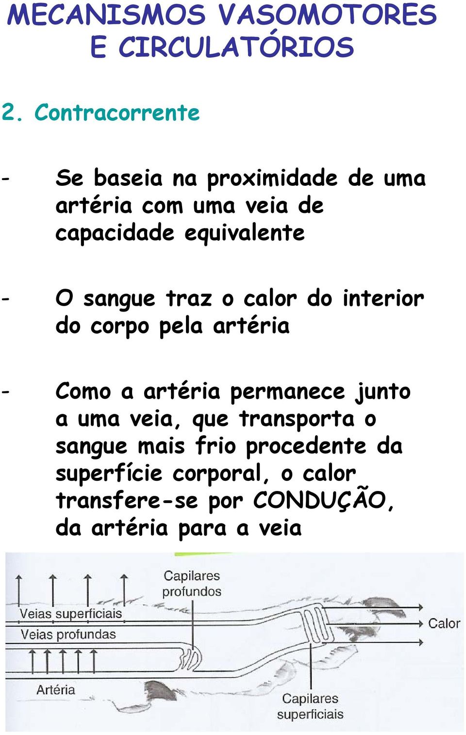 equivalente - O sangue traz o calor do interior do corpo pela artéria - Como a artéria