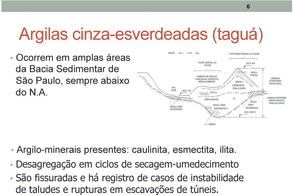 Argilo-minerais presentes: caulinita, esmectita, ilita.