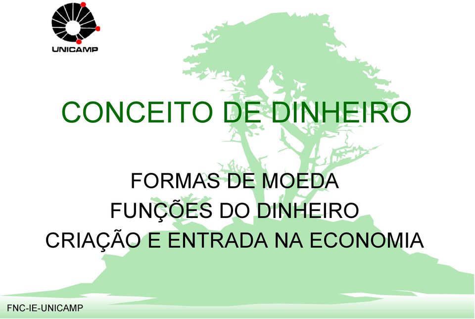 DO DINHEIRO CRIAÇÃO E