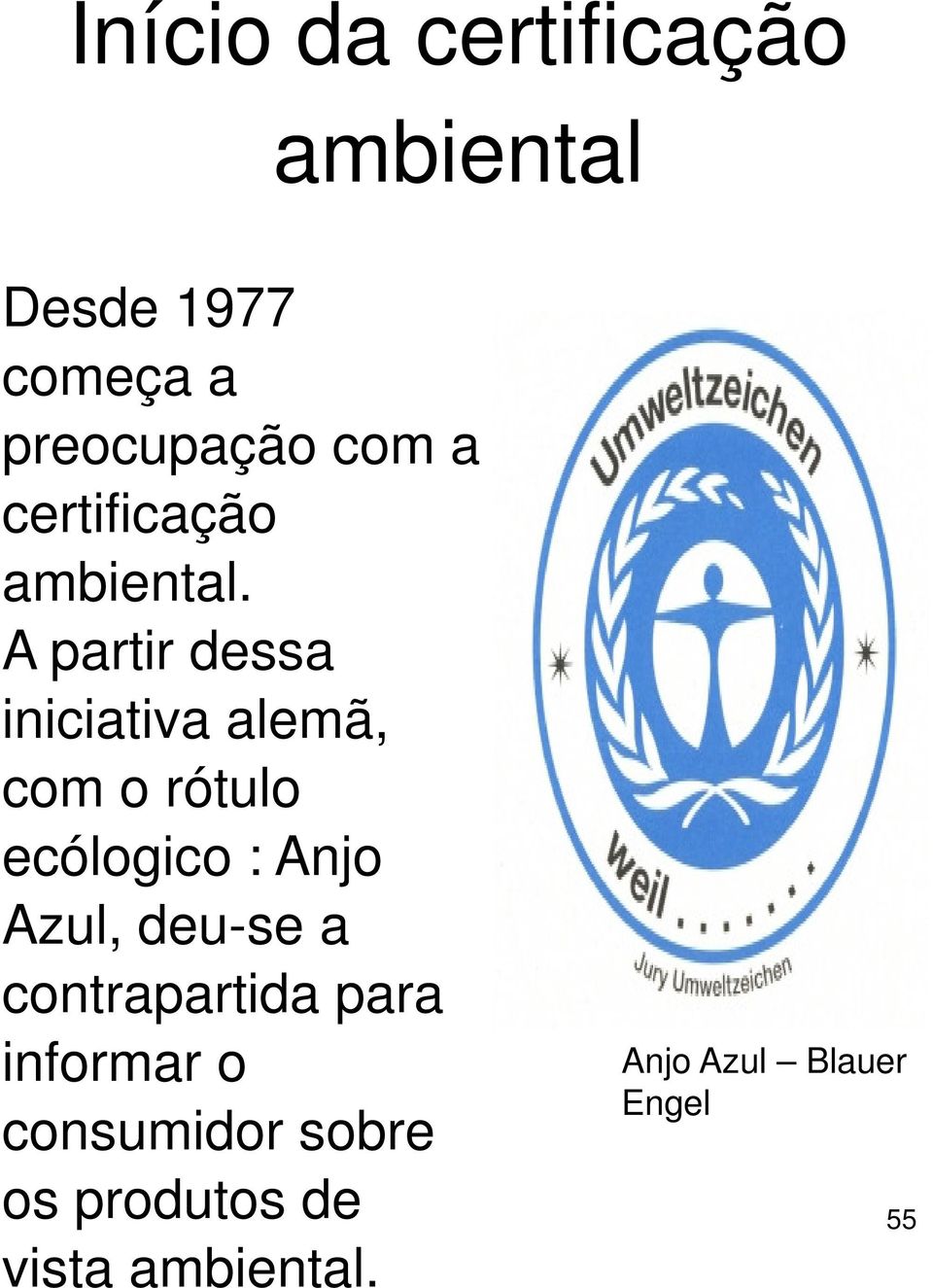 A partir dessa iniciativa alemã, com o rótulo ecólogico : Anjo Azul,