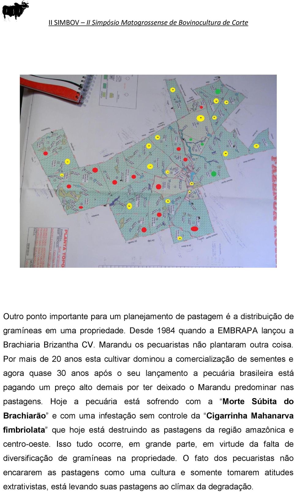 Por mais de 20 anos esta cultivar dominou a comercialização de sementes e agora quase 30 anos após o seu lançamento a pecuária brasileira está pagando um preço alto demais por ter deixado o Marandu