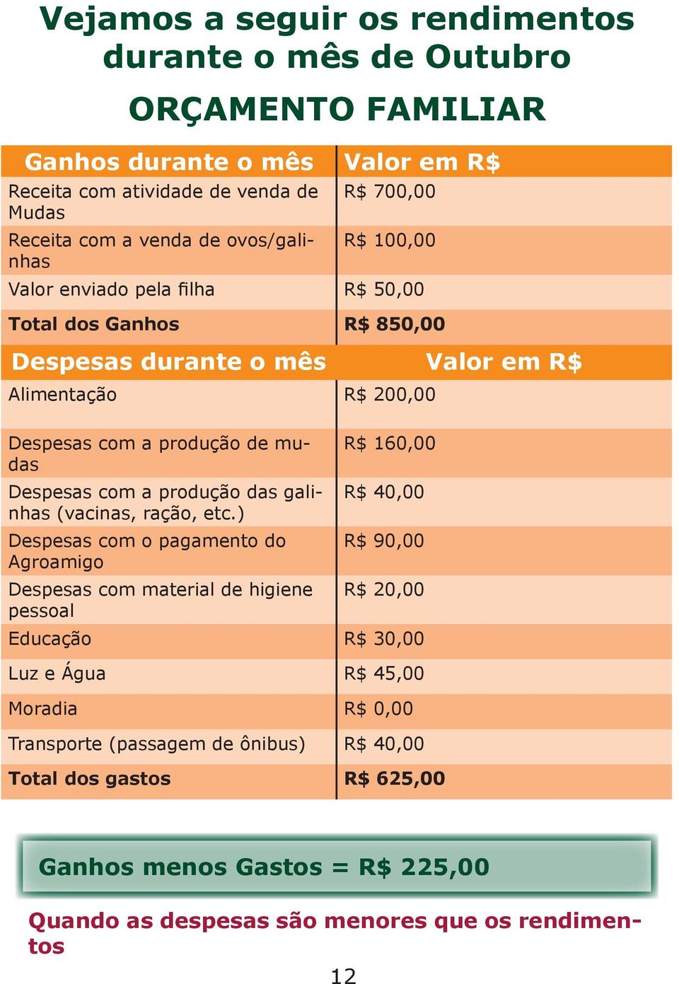 Despesas com a produção das galinhas (vacinas, ração, etc.