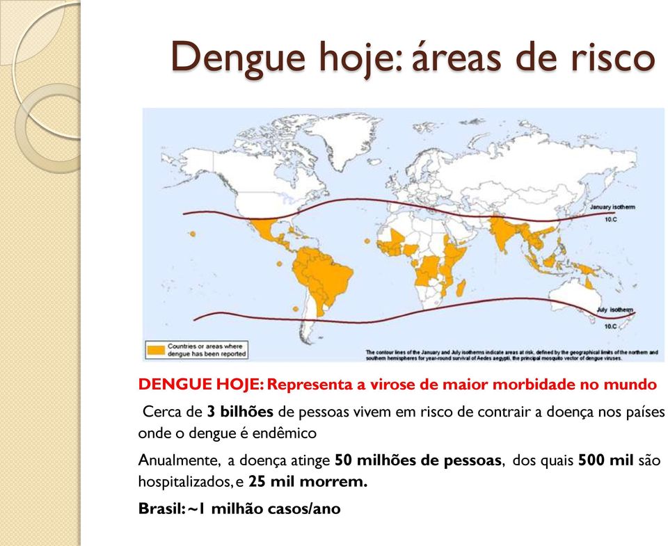 países onde o dengue é endêmico Anualmente, a doença atinge 50 milhões de