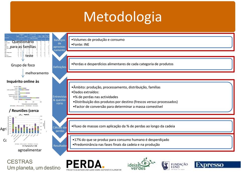 distribuição, famílias Dados extraídos: % de perdas nas actividades Distribuição dos produtos por destino (frescos versus processados) Factor de conversão para determinar a massa comestível