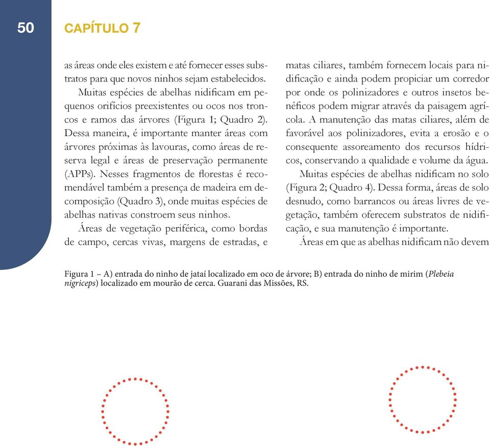 Dessa maneira, é importante manter áreas com árvores próximas às lavouras, como áreas de reserva legal e áreas de preservação permanente (APPs).