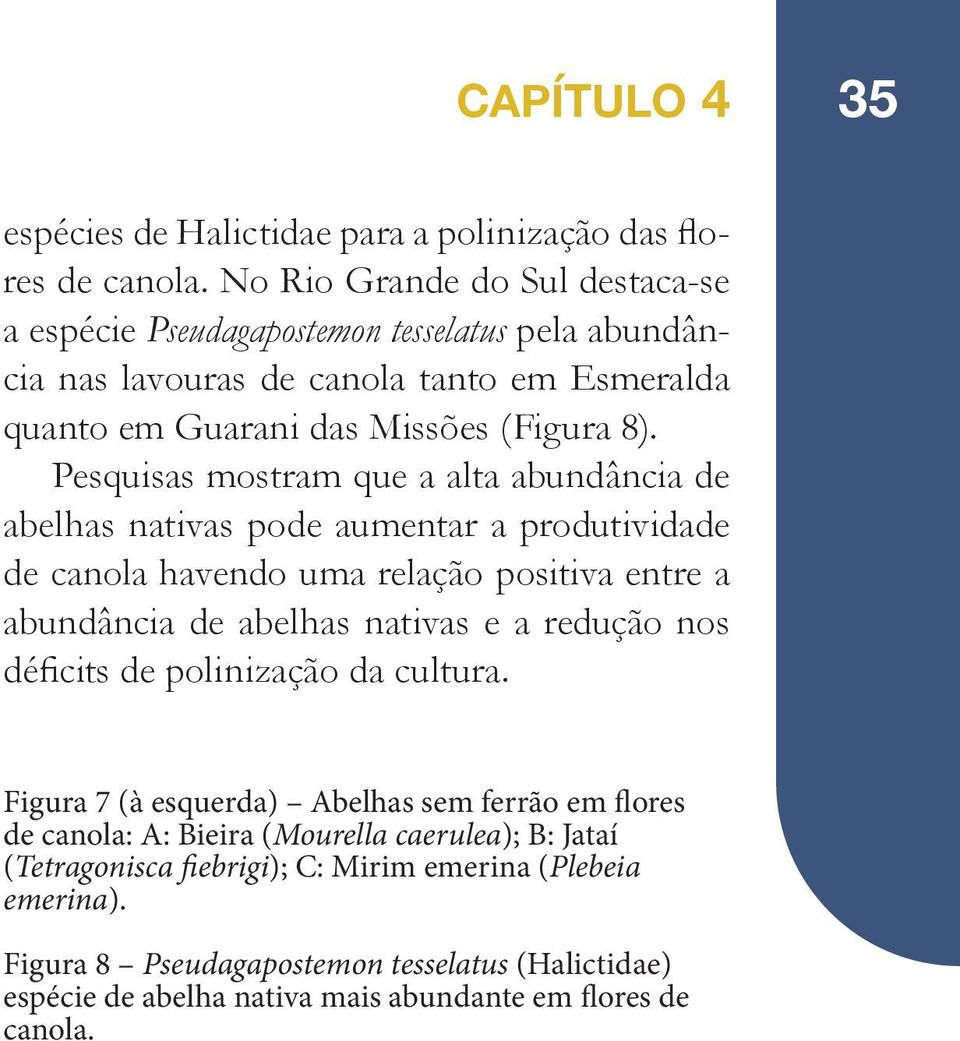 Pesquisas mostram que a alta abundância de abelhas nativas pode aumentar a produtividade de canola havendo uma relação positiva entre a abundância de abelhas nativas e a redução nos