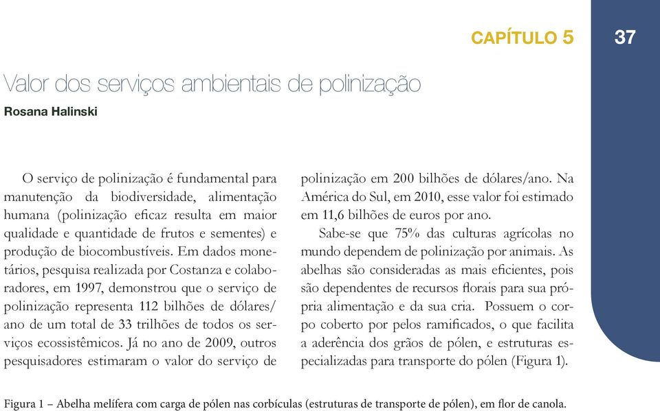 Em dados monetários, pesquisa realizada por Costanza e colaboradores, em 1997, demonstrou que o serviço de polinização representa 112 bilhões de dólares/ ano de um total de 33 trilhões de todos os