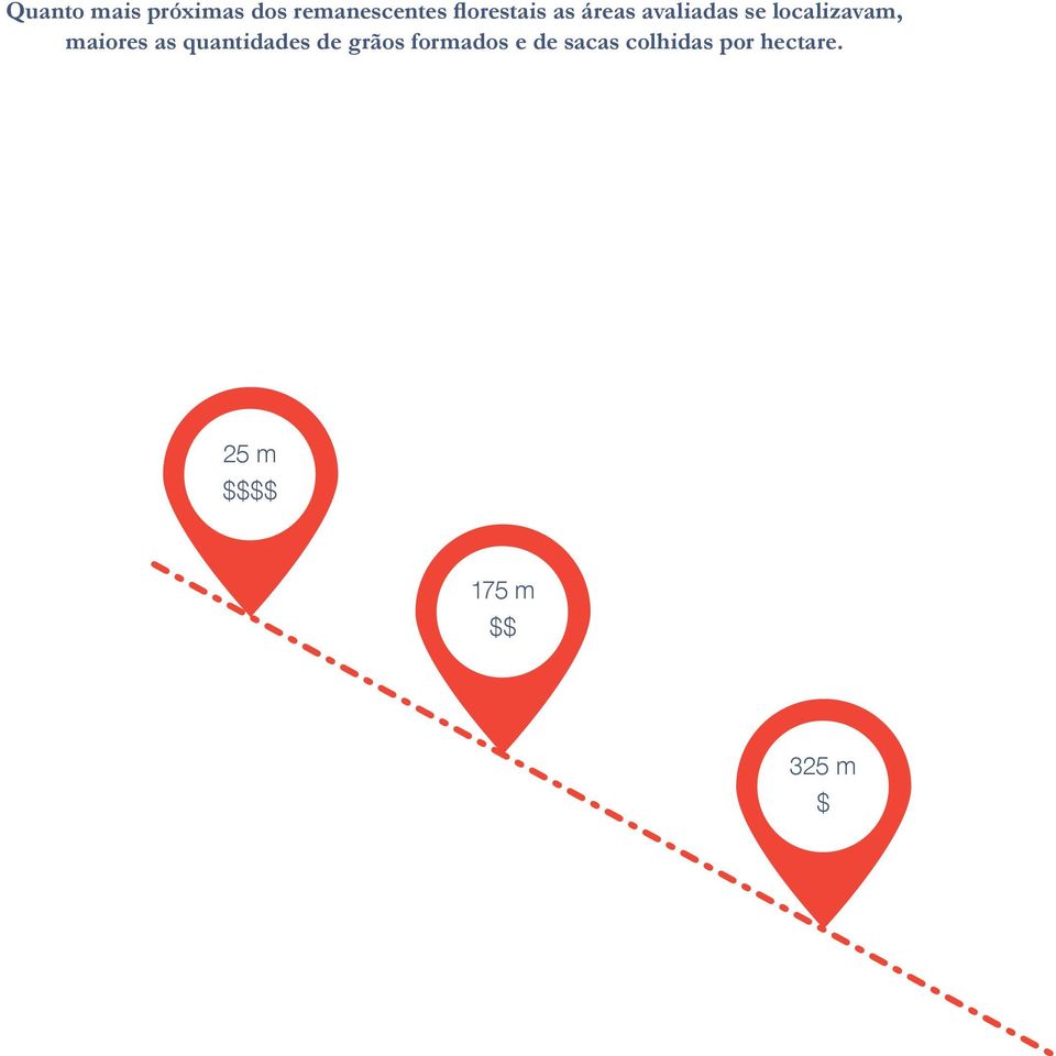 maiores as quantidades de grãos formados e de