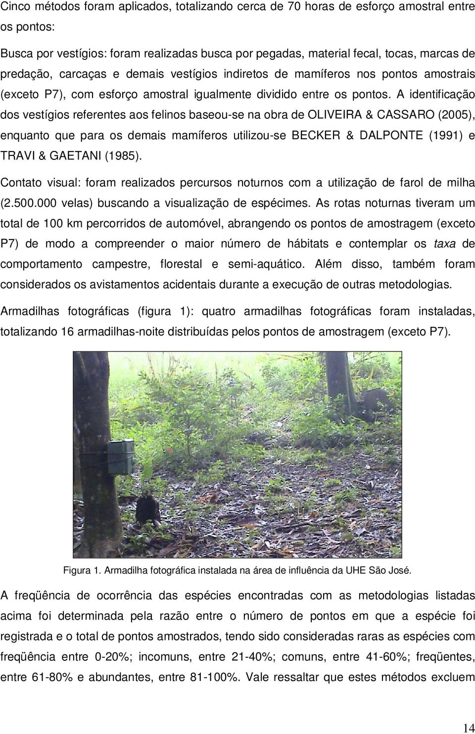 A identificação dos vestígios referentes aos felinos baseou-se na obra de OLIVEIRA & CASSARO (2005), enquanto que para os demais mamíferos utilizou-se BECKER & DALPONTE (1991) e TRAVI & GAETANI