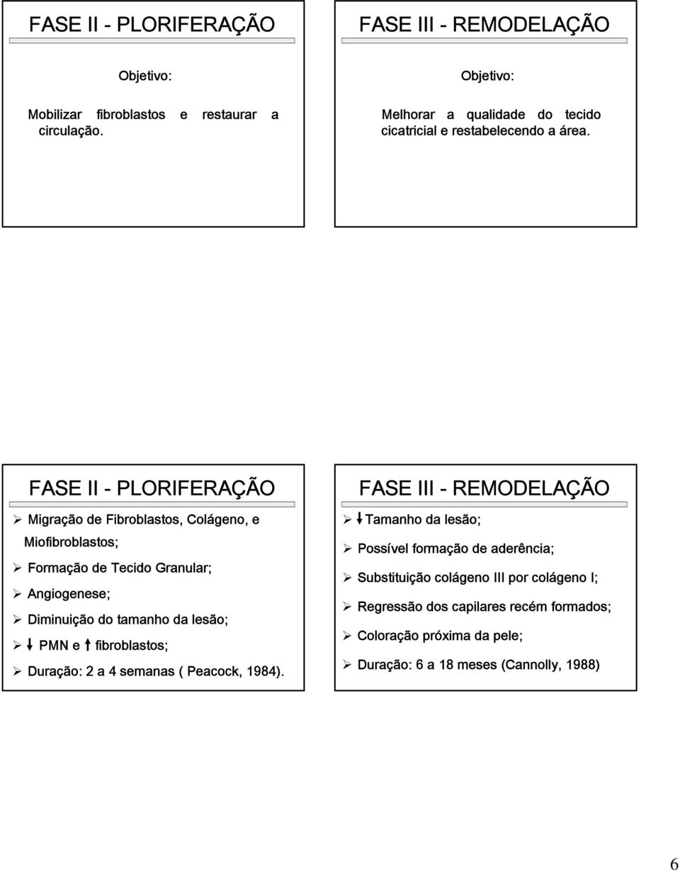 FASE II - PLORIFERAÇÃO Migração de Fibroblastos, Colágeno, e Miofibroblastos; Formação de Tecido Granular; Angiogenese; Diminuição do tamanho da lesão;