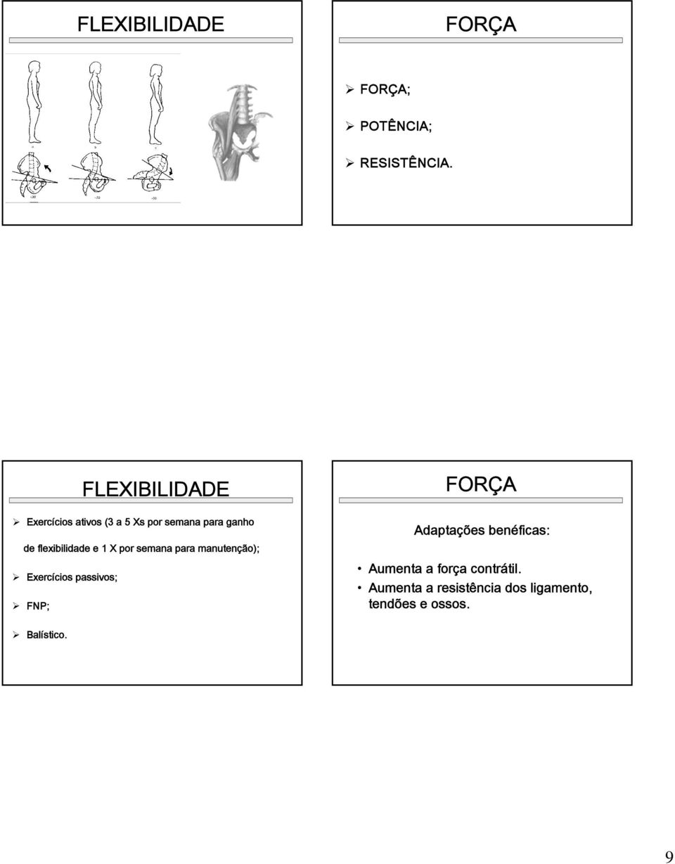 semana para manutenção); Exercícios passivos; FNP; FLEXIBILIDADE FORÇA