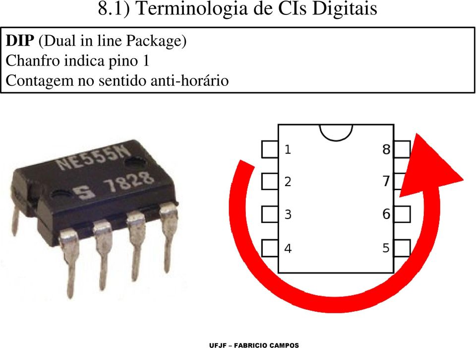 Package) Chanfro indica pino