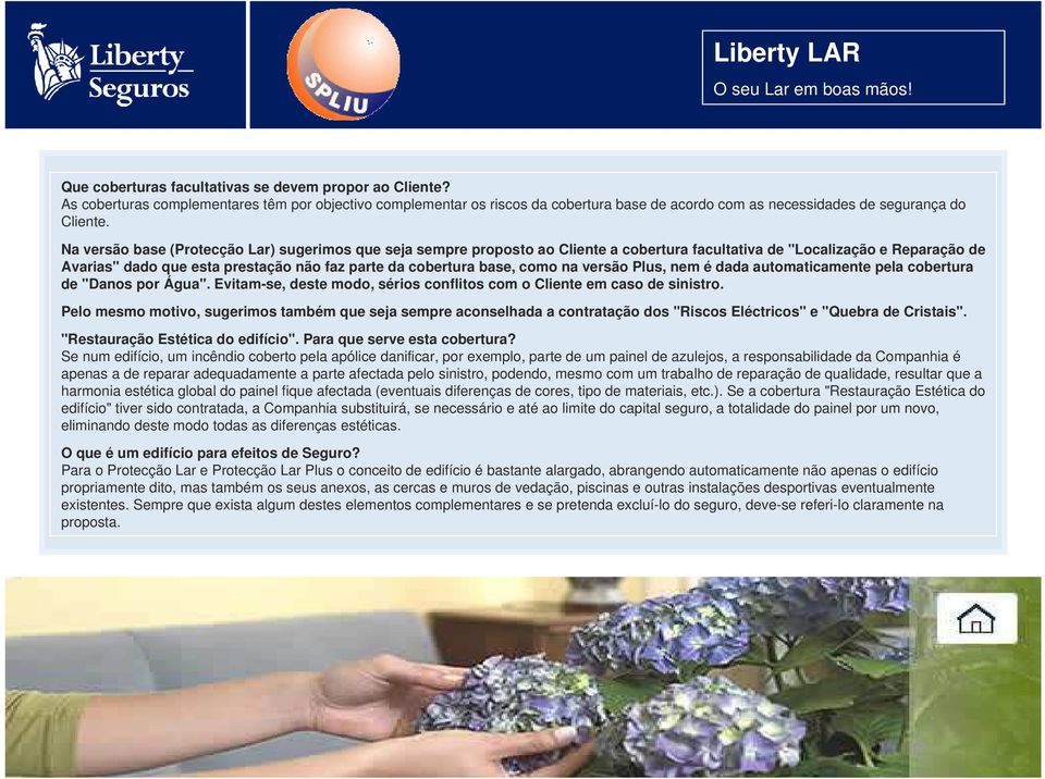 Na versão base (Protecção Lar) sugerimos que seja sempre proposto ao Cliente a cobertura facultativa de "Localização e Reparação de Avarias" dado que esta prestação não faz parte da cobertura base,