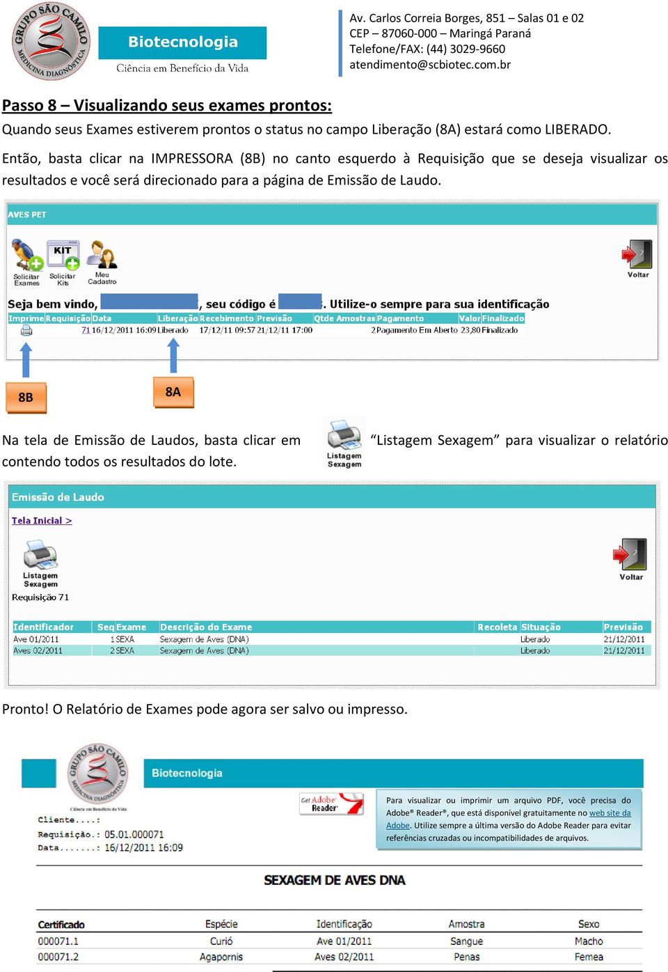 8B 8A Na tela de Emissão de Laudos, basta clicar em contendo todos os resultados do lote. Listagem Sexagem para visualizar o relatório Pronto!