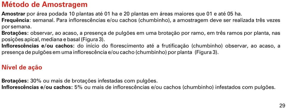 Brotações: observar, ao acaso, a presença de pulgões em uma brotação por ramo, em três ramos por planta, nas posições apical, mediana e basal (Figura 3).