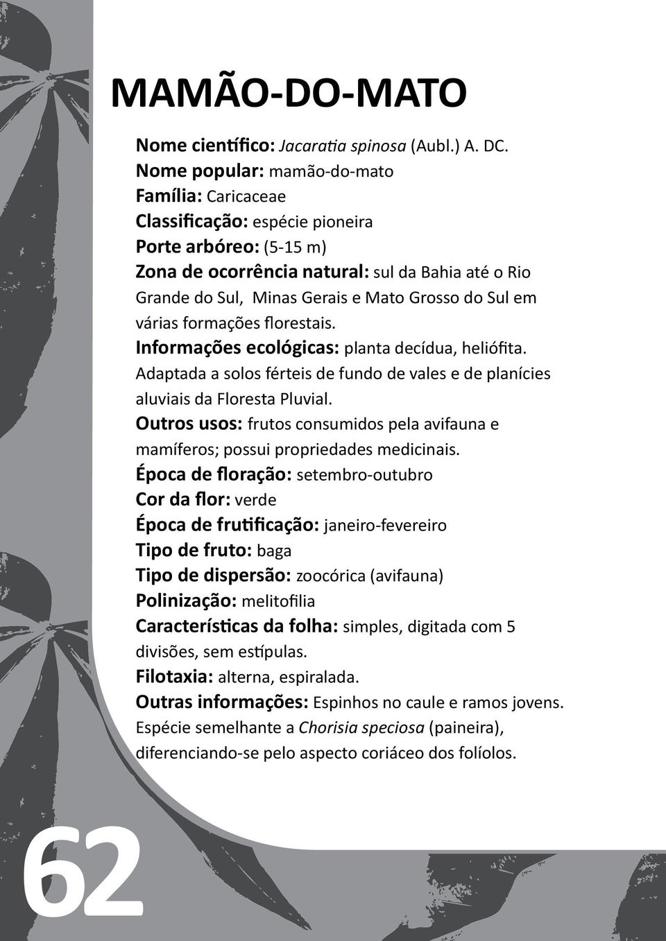 Sul em várias formações florestais. Informações ecológicas: planta decídua, heliófita. Adaptada a solos férteis de fundo de vales e de planícies aluviais da Floresta Pluvial.