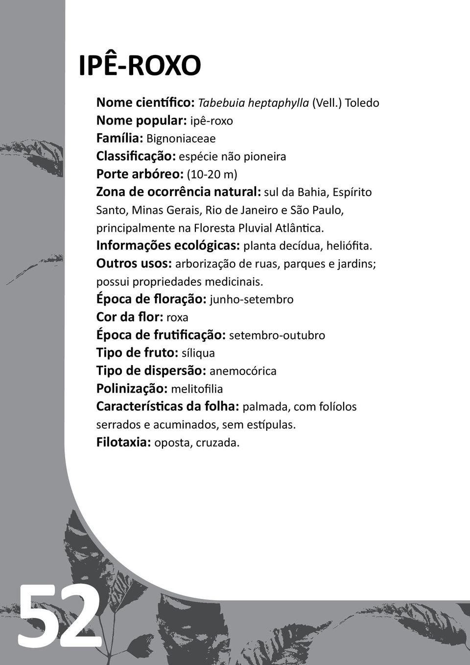 Gerais, Rio de Janeiro e São Paulo, principalmente na Floresta Pluvial Atlântica. Informações ecológicas: planta decídua, heliófita.